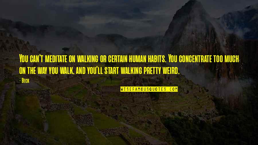 Beden Quotes By Beck: You can't meditate on walking or certain human