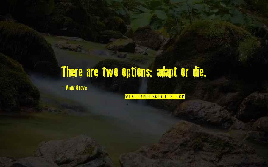 Bedeutende Erfindungen Quotes By Andy Grove: There are two options: adapt or die. Bedeutende Erfindungen Quotes By Andy Grove: There are two options: adapt or die.