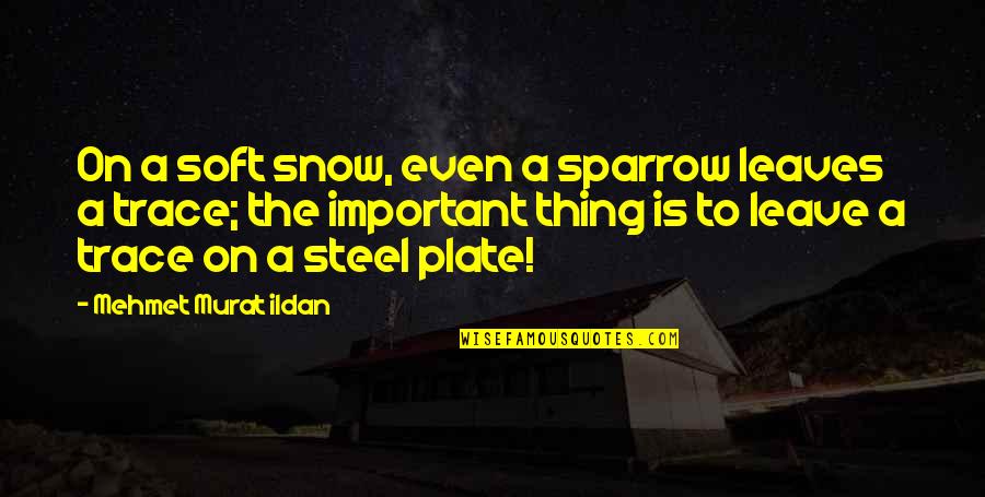 Bedingungsloses Quotes By Mehmet Murat Ildan: On a soft snow, even a sparrow leaves