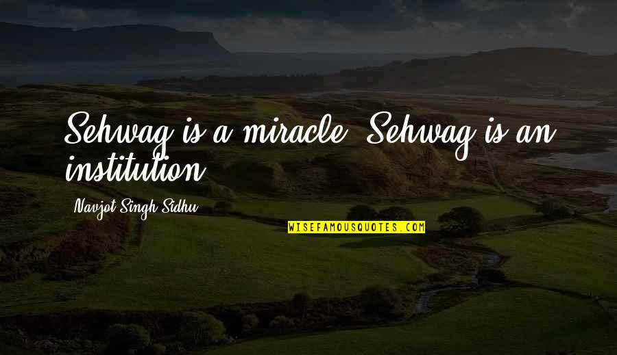 Bednarek W Quotes By Navjot Singh Sidhu: Sehwag is a miracle, Sehwag is an institution Bednarek W Quotes By Navjot Singh Sidhu: Sehwag is a miracle, Sehwag is an institution