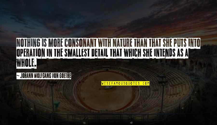 Bednarz Delray Quotes By Johann Wolfgang Von Goethe: Nothing is more consonant with Nature than that Bednarz Delray Quotes By Johann Wolfgang Von Goethe: Nothing is more consonant with Nature than that