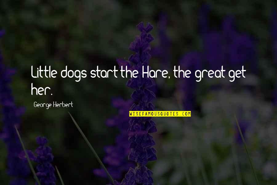 Bedrijfs Quotes By George Herbert: Little dogs start the Hare, the great get