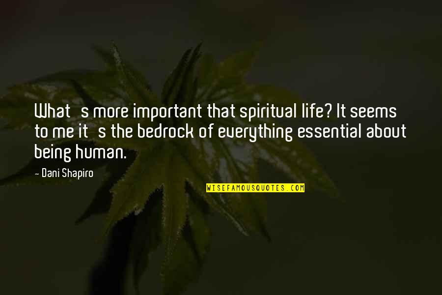 Bedrock Quotes By Dani Shapiro: What's more important that spiritual life? It seems