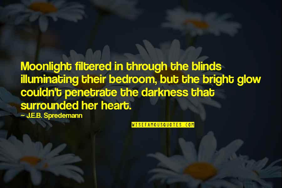 Bedroom Quotes By J.E.B. Spredemann: Moonlight filtered in through the blinds illuminating their