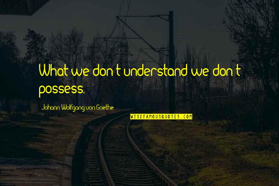 Bedroom Talk Quotes By Johann Wolfgang Von Goethe: What we don't understand we don't possess.