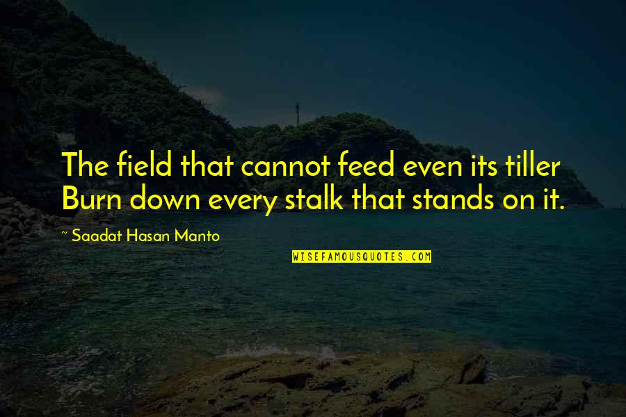 Bedspring Crossword Quotes By Saadat Hasan Manto: The field that cannot feed even its tiller