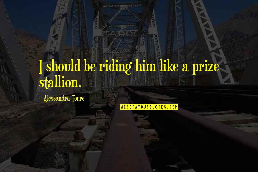 Bedspring Pincushion Quotes By Alessandra Torre: I should be riding him like a prize
