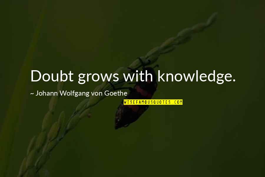 Bedtimes Quotes By Johann Wolfgang Von Goethe: Doubt grows with knowledge.