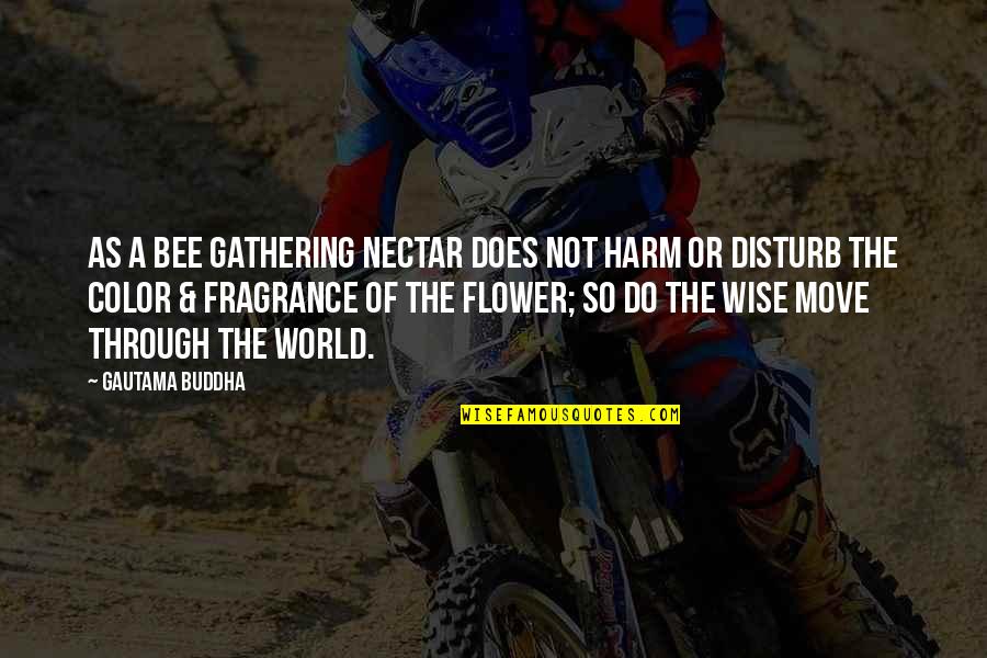 Bee And Flower Quotes By Gautama Buddha: As a bee gathering nectar does not harm Bee And Flower Quotes By Gautama Buddha: As a bee gathering nectar does not harm