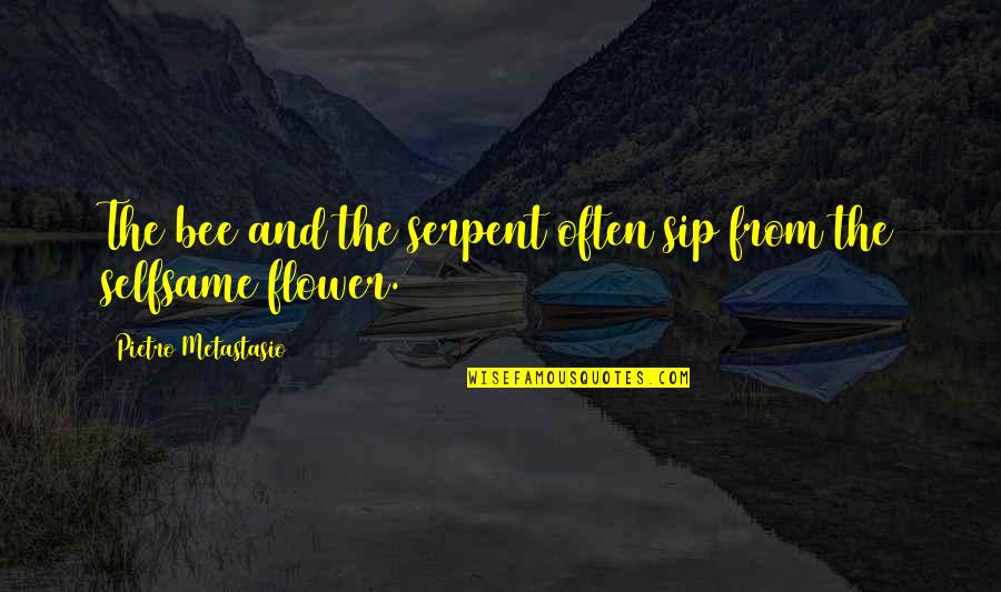Bee And Flower Quotes By Pietro Metastasio: The bee and the serpent often sip from