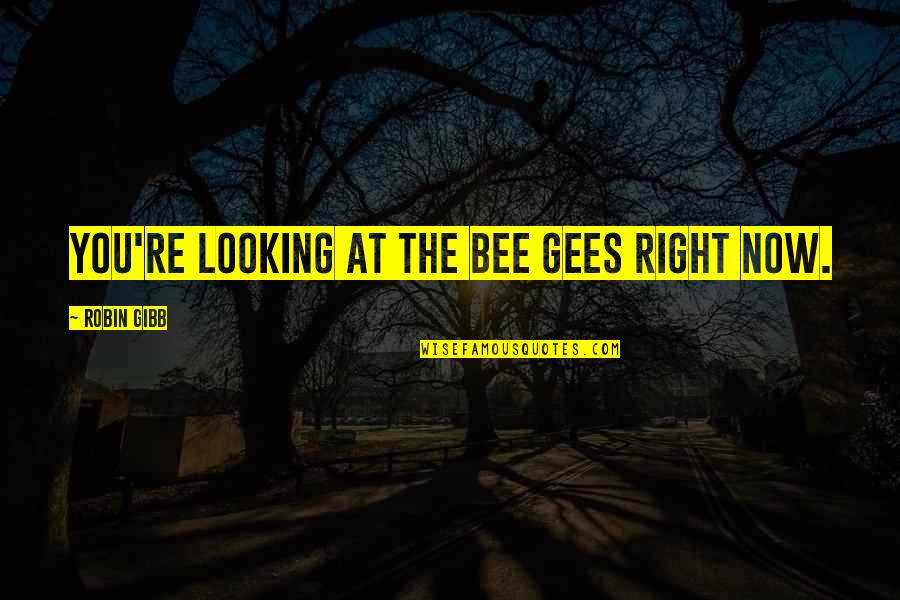Bee Gees Quotes By Robin Gibb: You're looking at the Bee Gees right now.