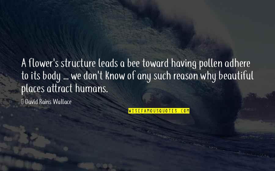 Bee Pollen Quotes By David Rains Wallace: A flower's structure leads a bee toward having