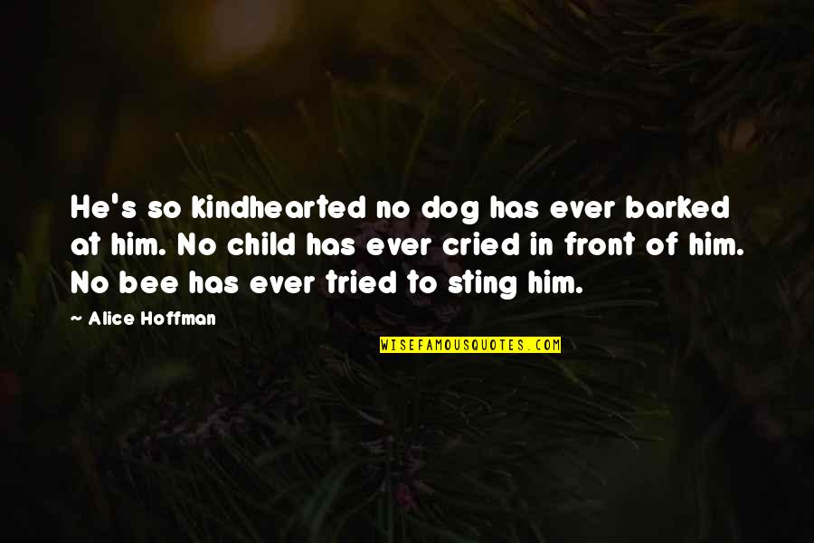 Bee Sting Quotes By Alice Hoffman: He's so kindhearted no dog has ever barked