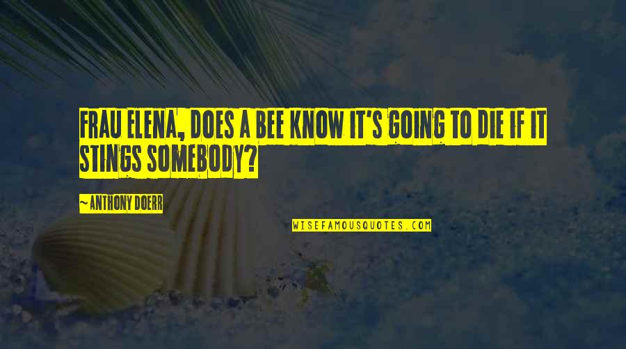 Bee Stings Quotes By Anthony Doerr: Frau Elena, does a bee know it's going