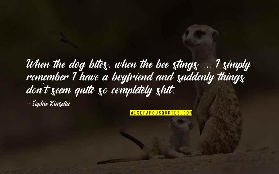Bee Stings Quotes By Sophie Kinsella: When the dog bites, when the bee stings