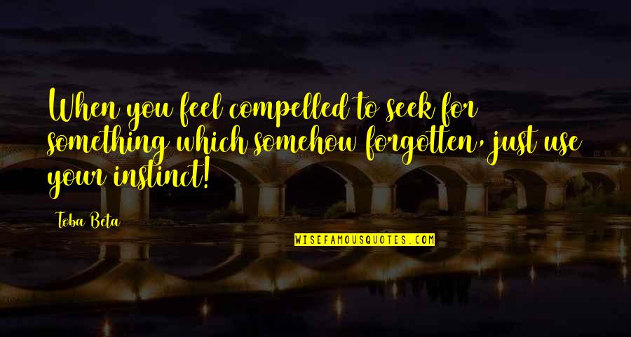 Beeber Middle School Quotes By Toba Beta: When you feel compelled to seek for something Beeber Middle School Quotes By Toba Beta: When you feel compelled to seek for something