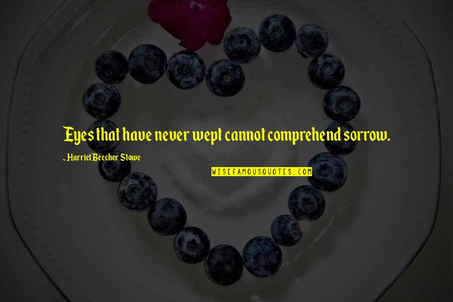 Beecher Stowe Quotes By Harriet Beecher Stowe: Eyes that have never wept cannot comprehend sorrow.