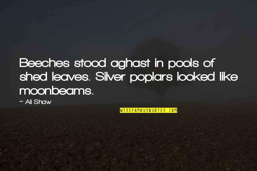 Beeches Quotes By Ali Shaw: Beeches stood aghast in pools of shed leaves.