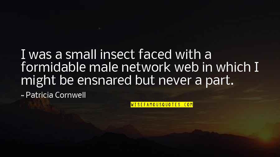Beef Cows Quotes By Patricia Cornwell: I was a small insect faced with a