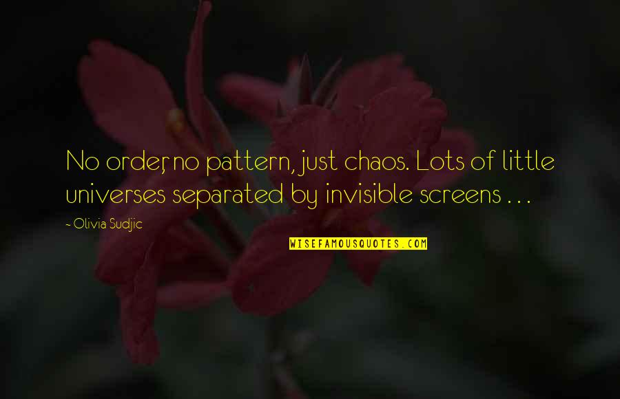 Beef Hearts In Salami Quotes By Olivia Sudjic: No order, no pattern, just chaos. Lots of