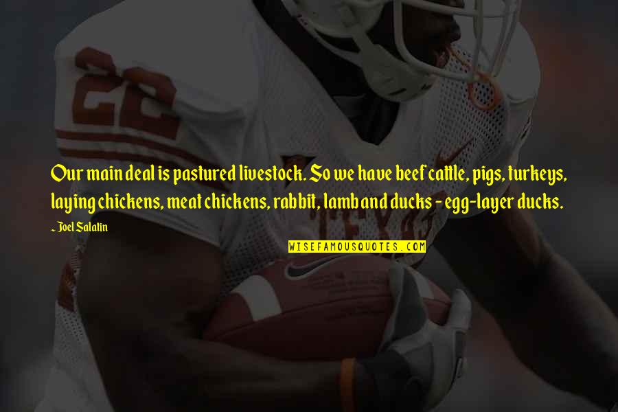 Beef Meat Quotes By Joel Salatin: Our main deal is pastured livestock. So we Beef Meat Quotes By Joel Salatin: Our main deal is pastured livestock. So we