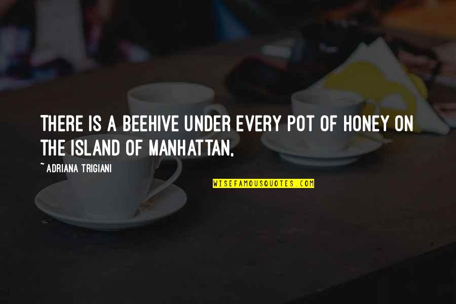 Beehive Quotes By Adriana Trigiani: There is a beehive under every pot of