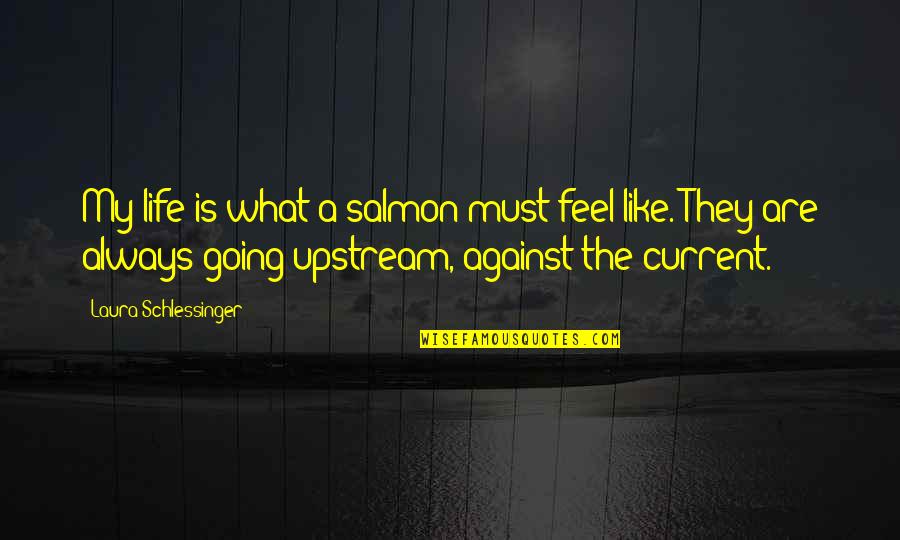 Beejmantra Quotes By Laura Schlessinger: My life is what a salmon must feel Beejmantra Quotes By Laura Schlessinger: My life is what a salmon must feel