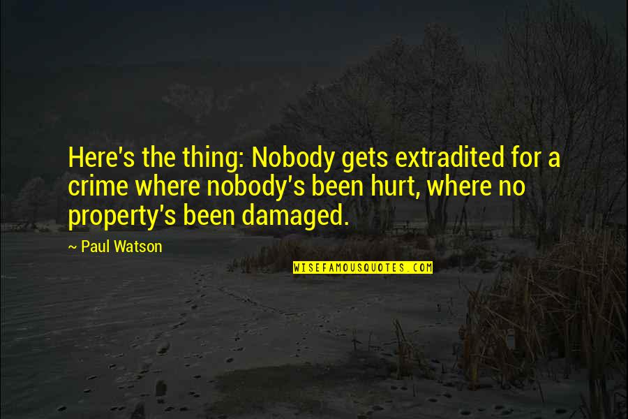 Been Hurt Quotes By Paul Watson: Here's the thing: Nobody gets extradited for a