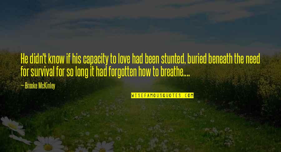 Been So Long Quotes By Brooke McKinley: He didn't know if his capacity to love