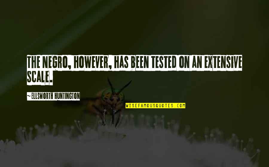 Been Tested Quotes By Ellsworth Huntington: The Negro, however, has been tested on an Been Tested Quotes By Ellsworth Huntington: The Negro, however, has been tested on an