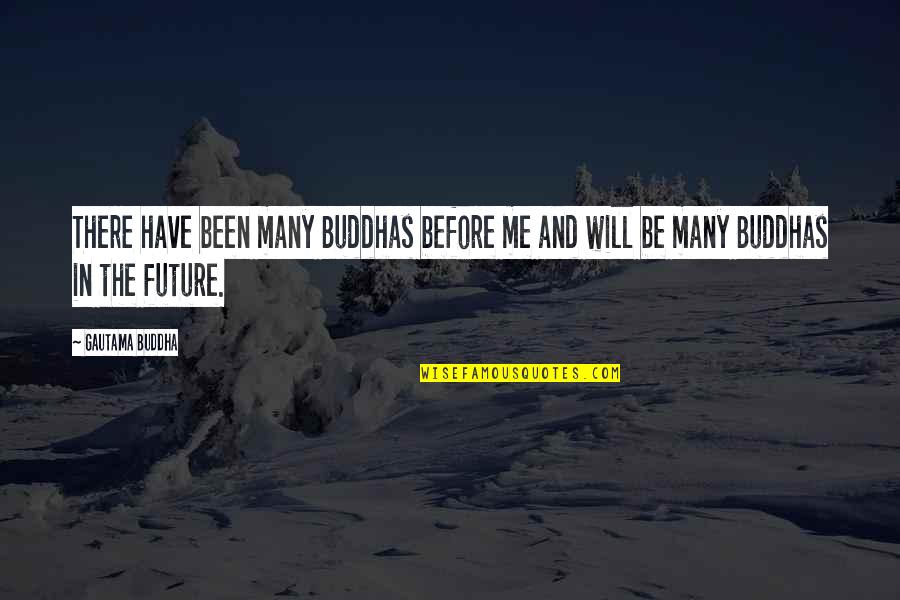 Been There Before Quotes By Gautama Buddha: There have been many Buddhas before me and