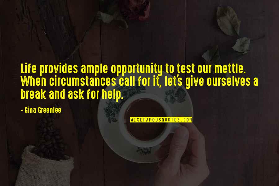 Beencarried Quotes By Gina Greenlee: Life provides ample opportunity to test our mettle.