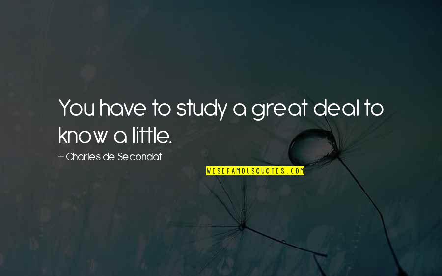 Beer Opener Quotes By Charles De Secondat: You have to study a great deal to