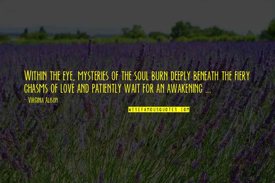 Beertje Sebastiaan Quotes By Virginia Alison: Within the eye, mysteries of the soul burn Beertje Sebastiaan Quotes By Virginia Alison: Within the eye, mysteries of the soul burn