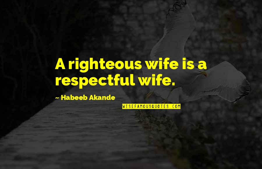 Beerwah Pop Quotes By Habeeb Akande: A righteous wife is a respectful wife.