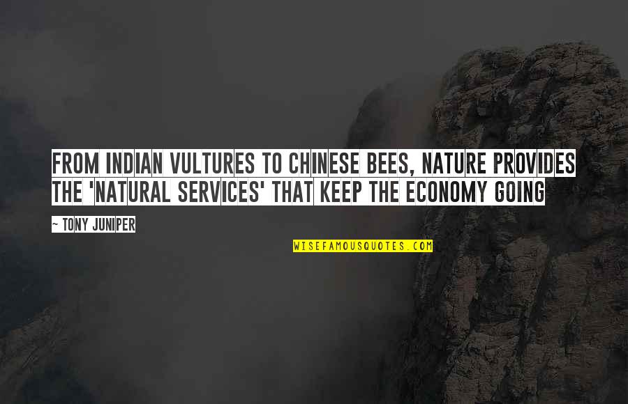 Bees And Nature Quotes By Tony Juniper: From Indian vultures to Chinese bees, Nature provides