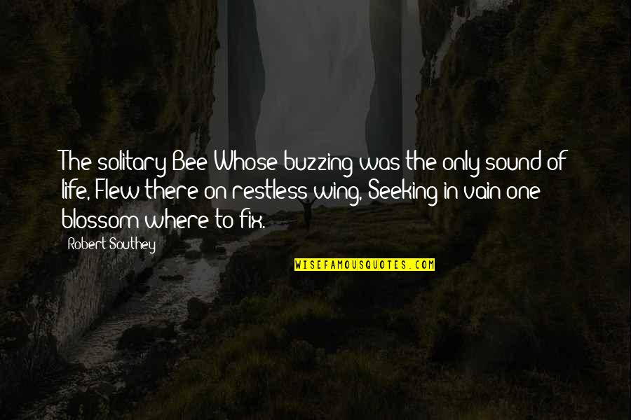 Bees Buzzing Quotes By Robert Southey: The solitary Bee Whose buzzing was the only