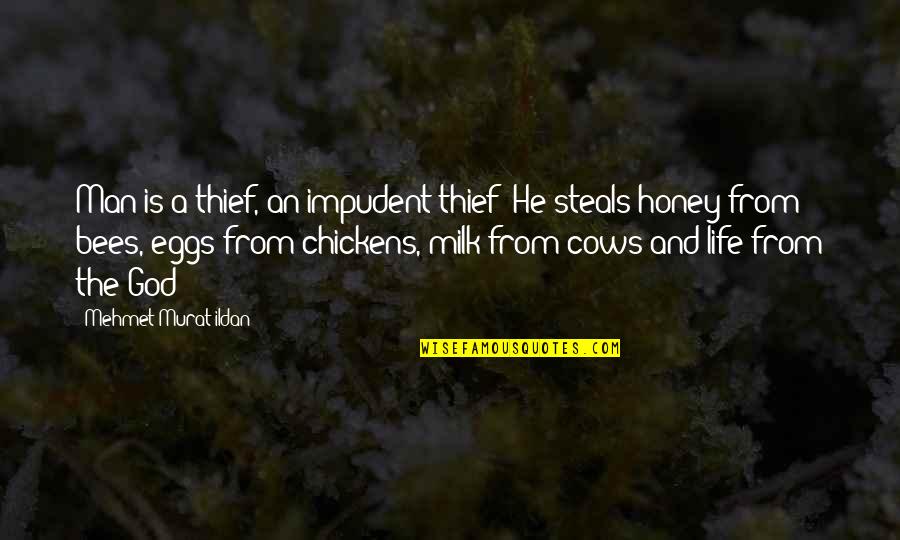 Bees Life Quotes By Mehmet Murat Ildan: Man is a thief, an impudent thief! He