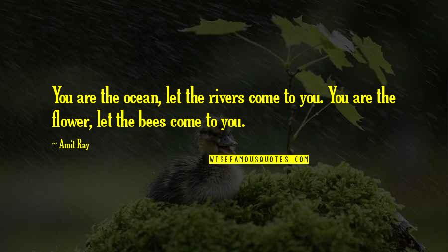 Bees Quotes By Amit Ray: You are the ocean, let the rivers come