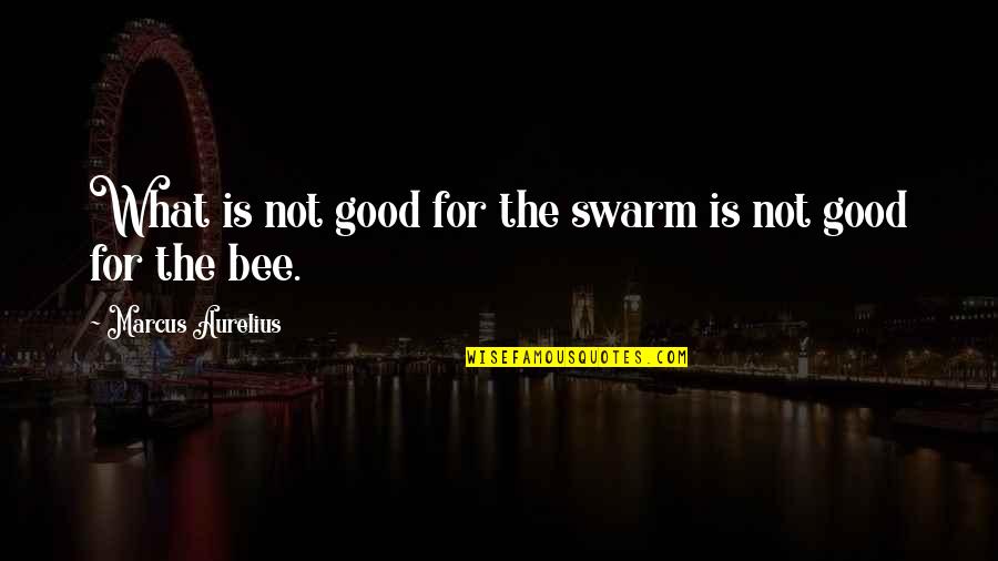 Bees Quotes By Marcus Aurelius: What is not good for the swarm is