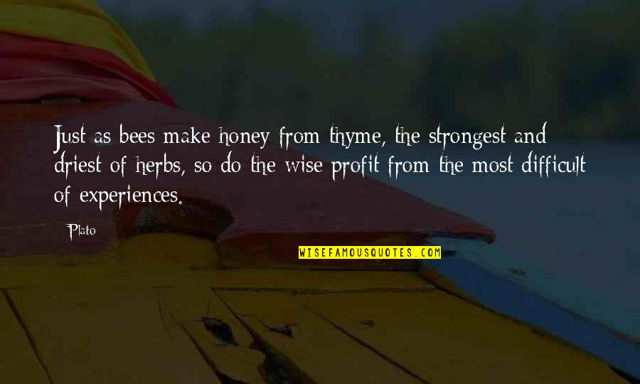 Bees Quotes By Plato: Just as bees make honey from thyme, the