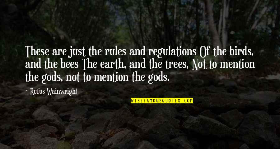 Bees Quotes By Rufus Wainwright: These are just the rules and regulations Of