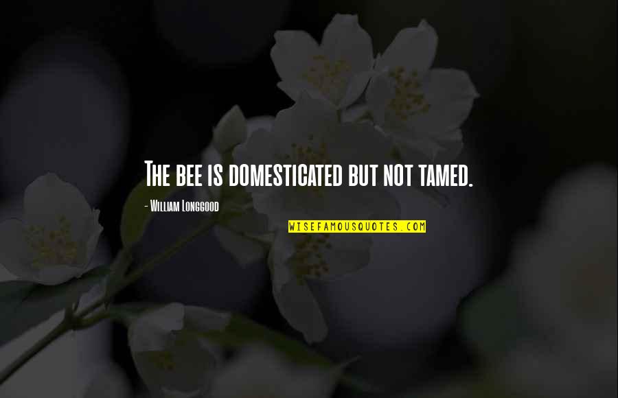 Bees Quotes By William Longgood: The bee is domesticated but not tamed.