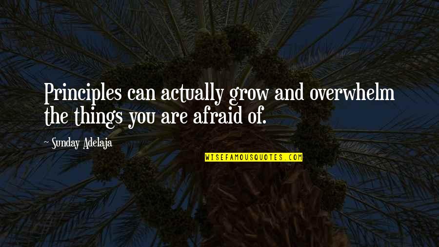 Beesly Bee Quotes By Sunday Adelaja: Principles can actually grow and overwhelm the things