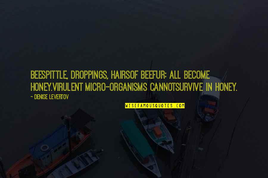 Beespittle Quotes By Denise Levertov: Beespittle, droppings, hairsof beefur: all become honey.Virulent micro-organisms Beespittle Quotes By Denise Levertov: Beespittle, droppings, hairsof beefur: all become honey.Virulent micro-organisms