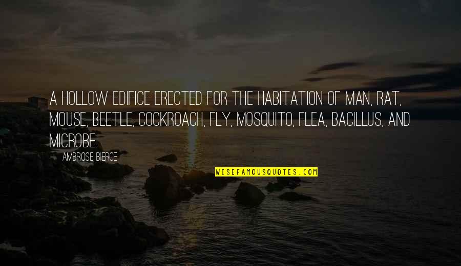 Beetle Quotes By Ambrose Bierce: A hollow edifice erected for the habitation of Beetle Quotes By Ambrose Bierce: A hollow edifice erected for the habitation of