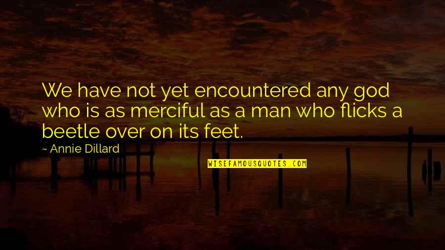 Beetle Quotes By Annie Dillard: We have not yet encountered any god who Beetle Quotes By Annie Dillard: We have not yet encountered any god who