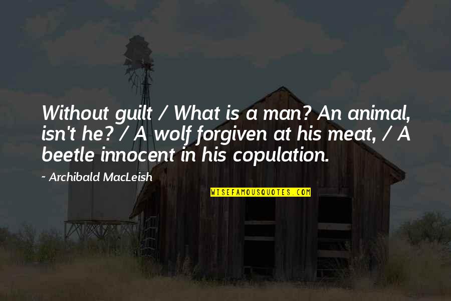 Beetle Quotes By Archibald MacLeish: Without guilt / What is a man? An Beetle Quotes By Archibald MacLeish: Without guilt / What is a man? An