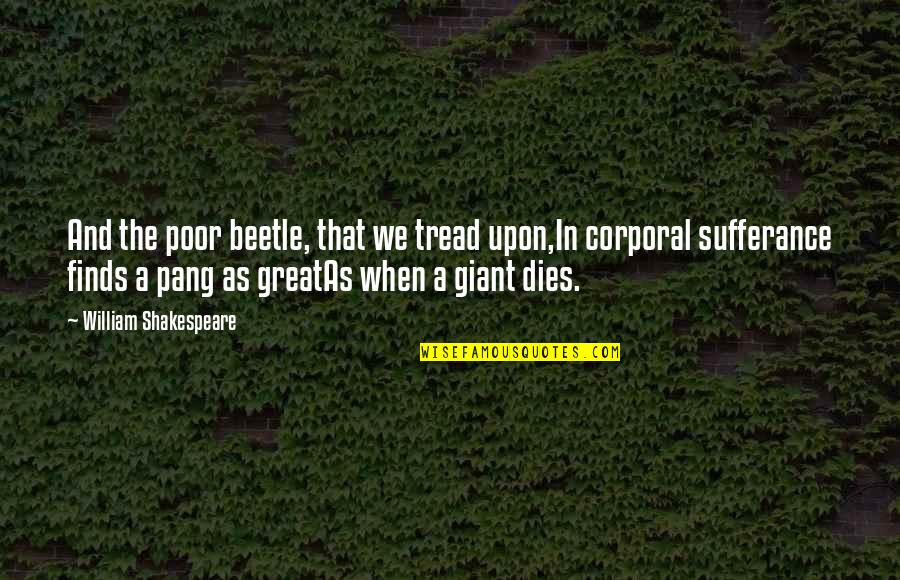Beetle Quotes By William Shakespeare: And the poor beetle, that we tread upon,In Beetle Quotes By William Shakespeare: And the poor beetle, that we tread upon,In