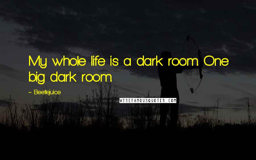 Beetlejuice quotes: My whole life is a dark room. One big dark room.